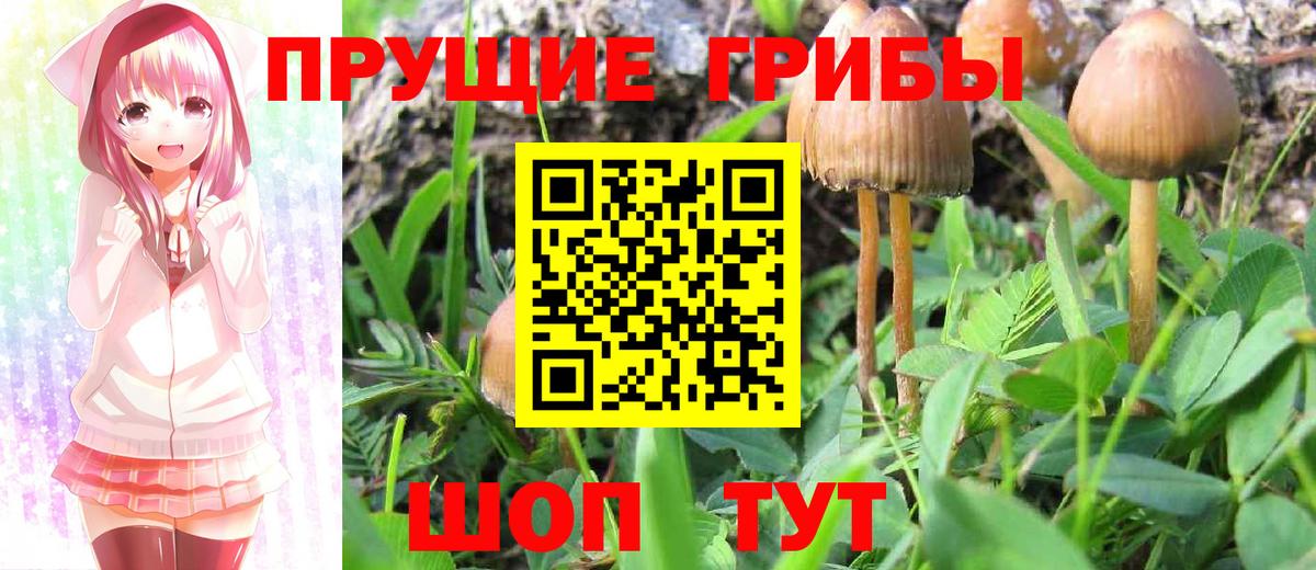 Галлюциногенные грибы мицелий Кубинка